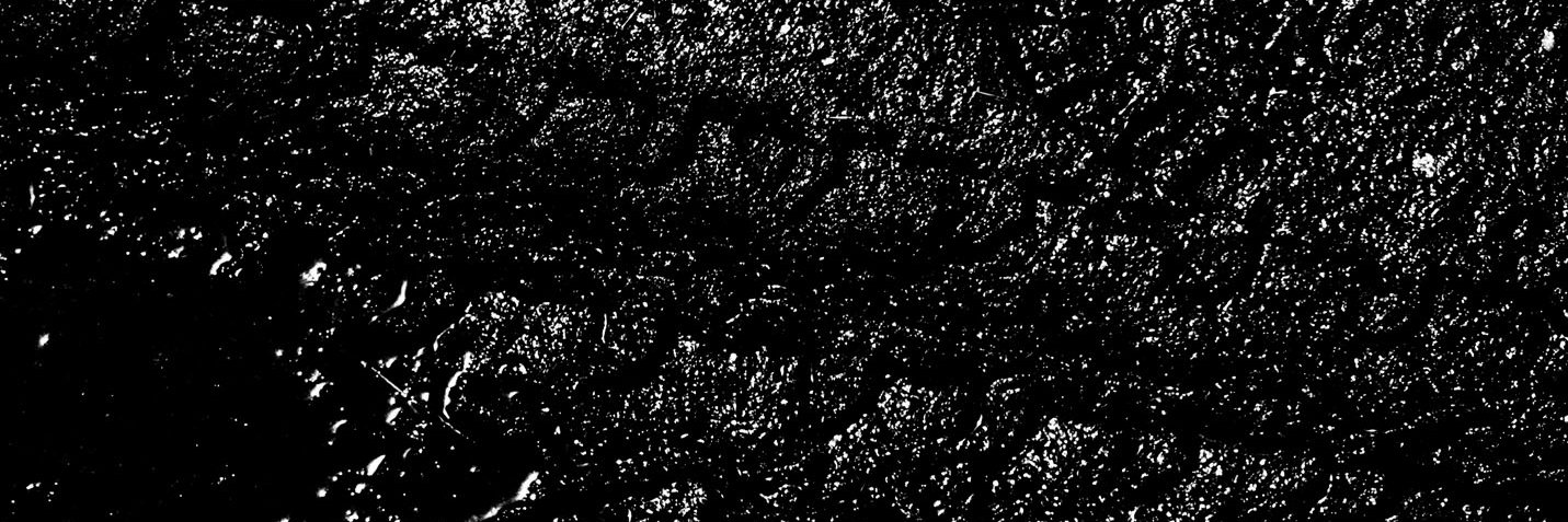 skoh_m's profile banner image