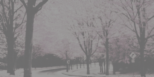 themayajacobs's profile banner image