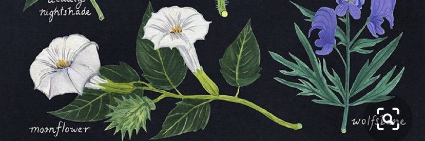 biancaprocter_'s profile banner image