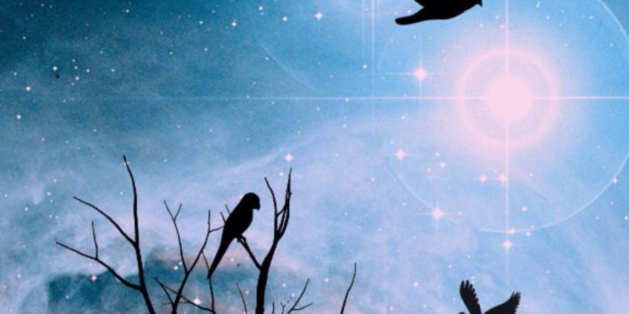 A_levintal's profile banner image