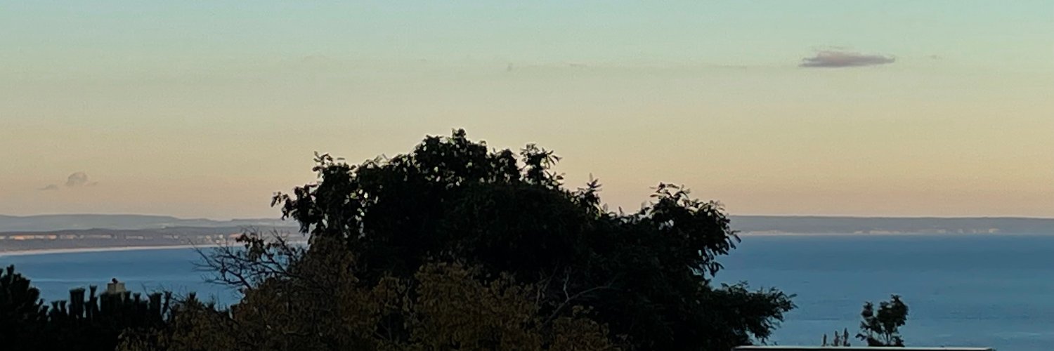 Luanne Misquitta banner