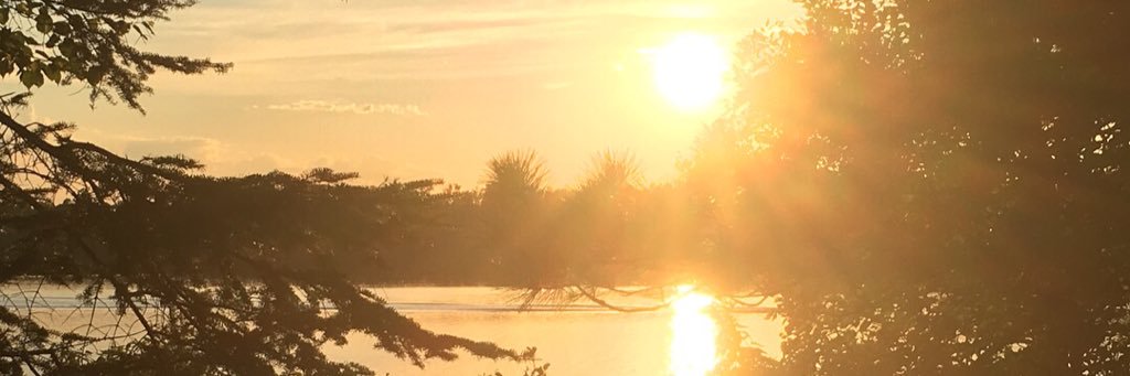 LucasSchwery's profile banner image
