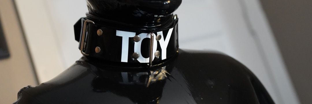 tozuskunk's profile banner image