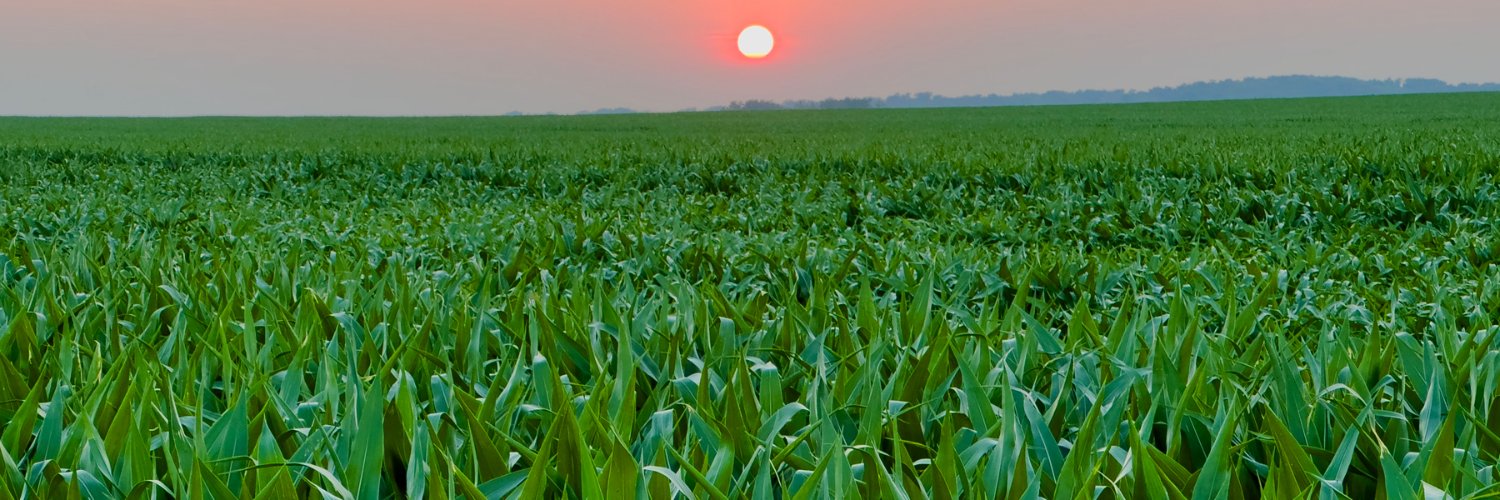 Gil Gullickson banner