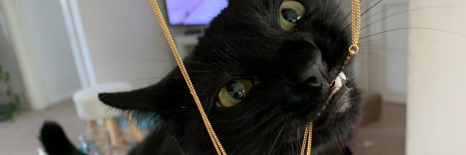 CalculatPotat's profile banner image