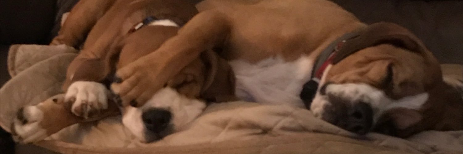 Beebstly's profile banner image