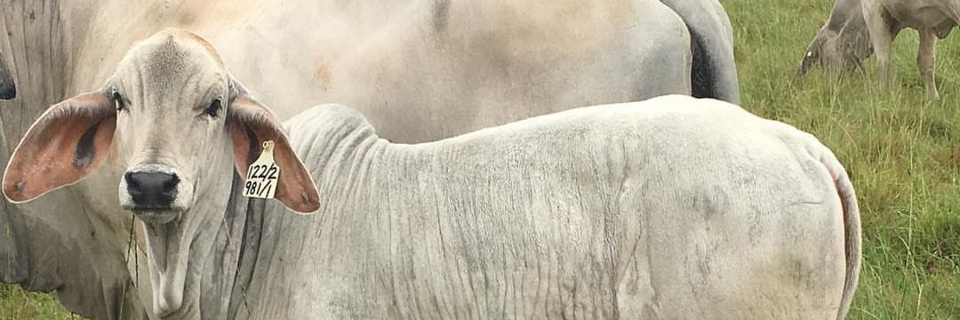 caangoma07's profile banner image