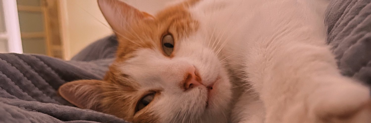 LiberatoFran's profile banner image