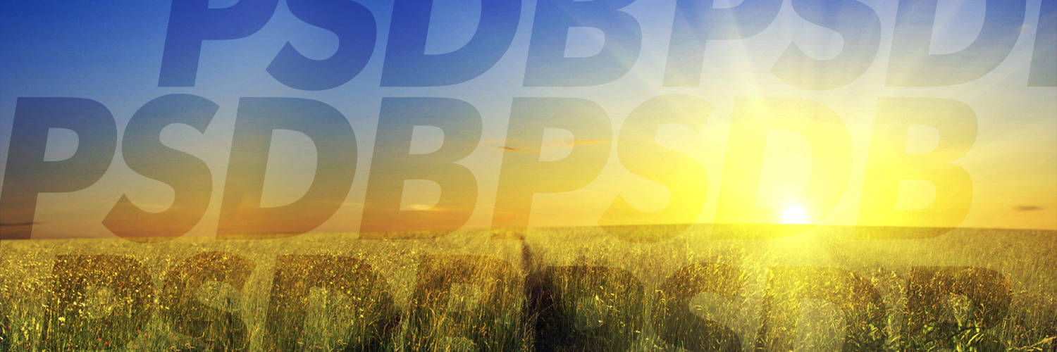 PSDB_Digital's profile banner image