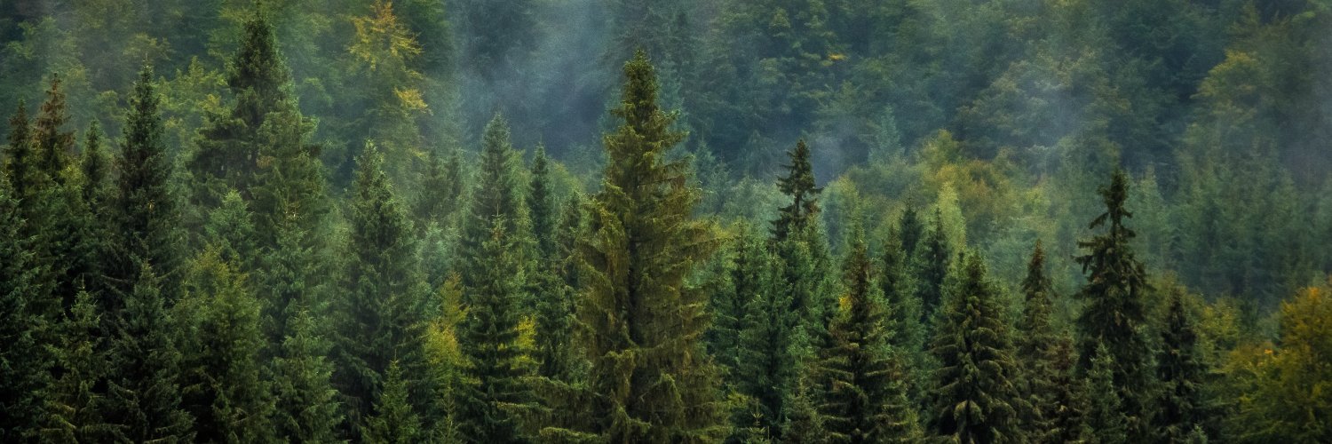 Forestry Research banner