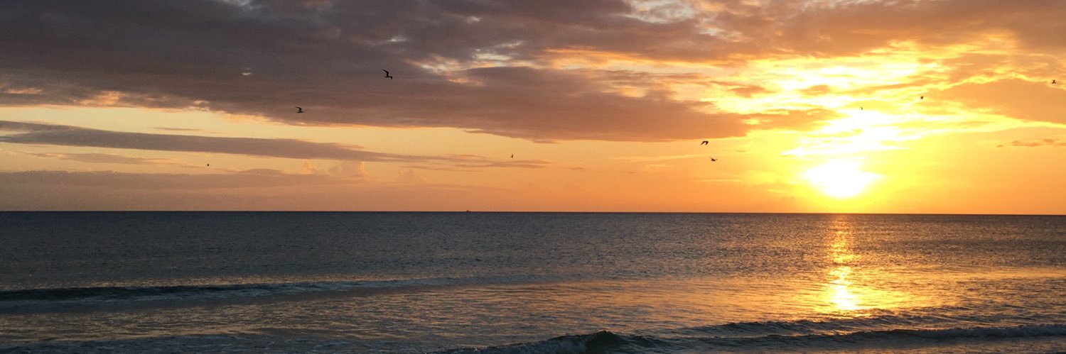 RDANKLEF's profile banner image