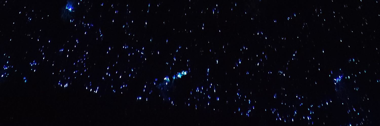 Roberto Siachoque 🌙 banner