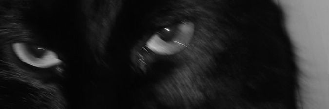 Ikki1908's profile banner image