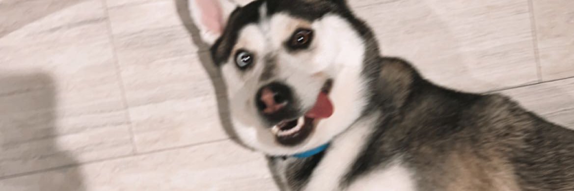 caseyrmurphy's profile banner image