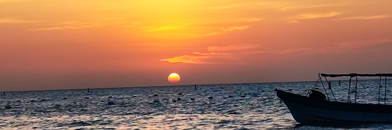 mattook_'s profile banner image
