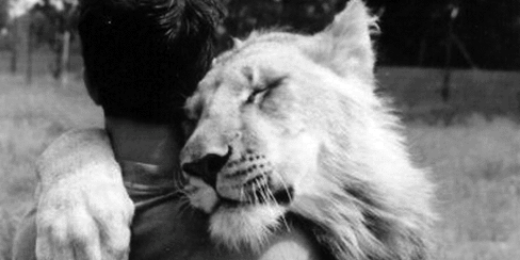 Federico Grunwald banner