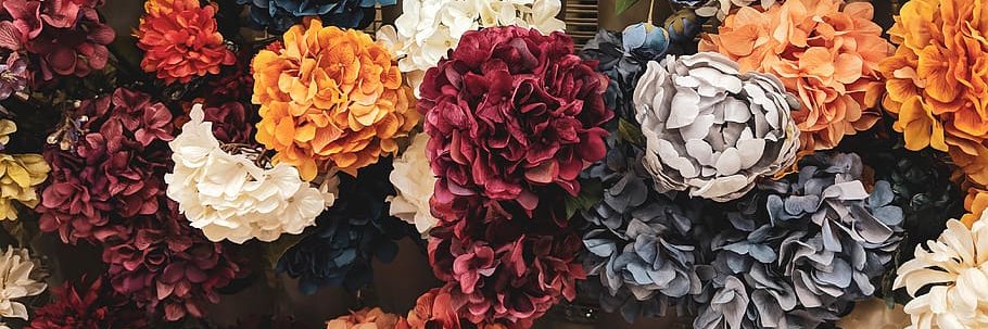 Charlee Beasor banner