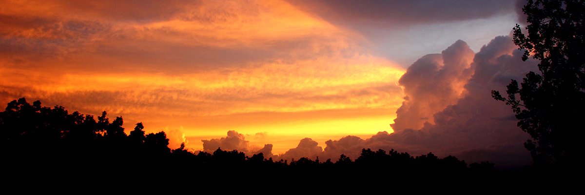 SkyboyPhotos's profile banner image