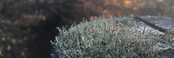 _IvanRomic Profile Banner