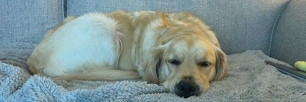 ScrapingJust Profile Banner