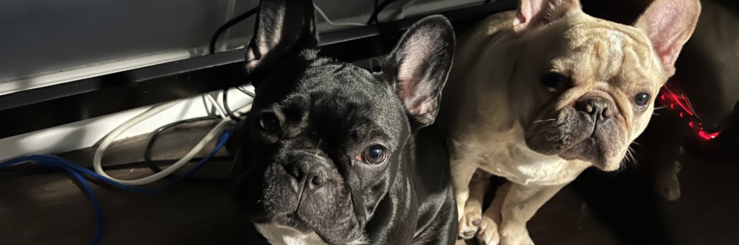 zzepins's profile banner image