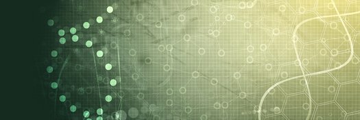 Courtney L. Hatton banner