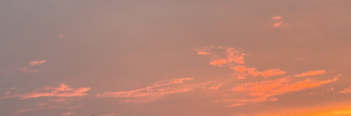 mi__clari's profile banner image