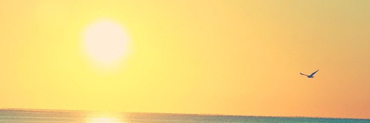 sunlightsoobin's profile banner image