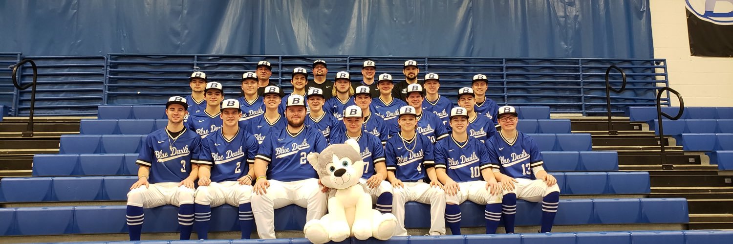 Brunswick Baseball banner