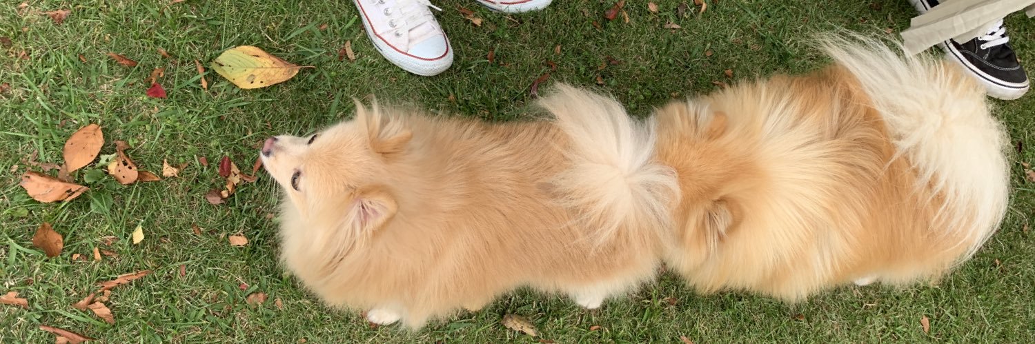 あぐ(8)うに(3)🐾🐾 banner