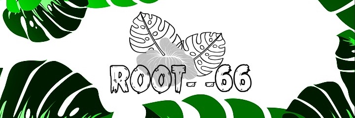 Root--66 🇬🇧 banner