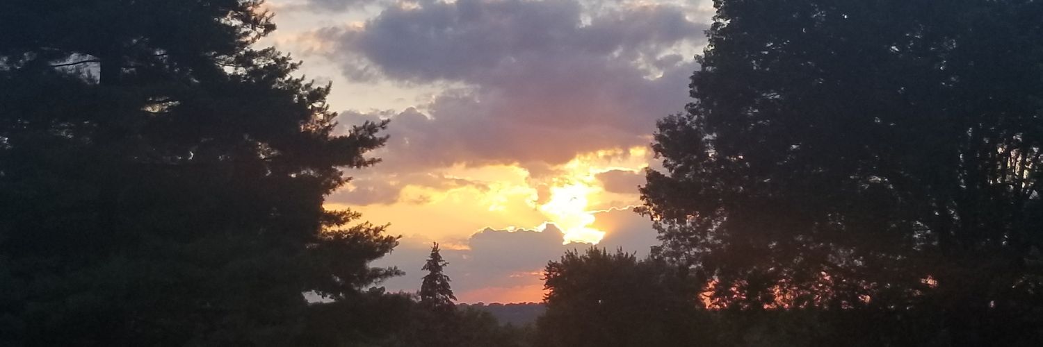 erantz2's profile banner image