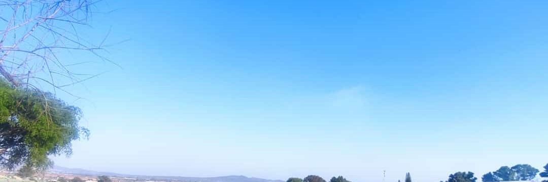 vikyfer's profile banner image