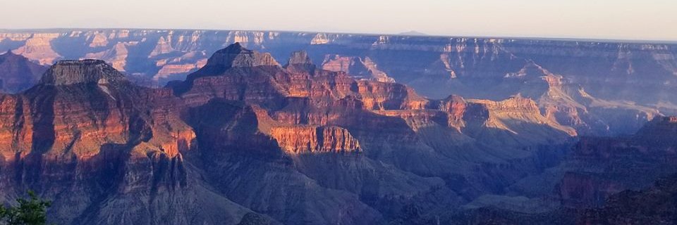 Katie Roddey Allen banner