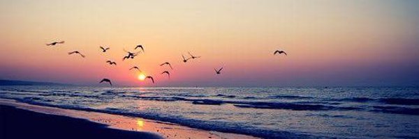 HinaAnwar23 Profile Banner