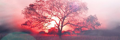 LukeNttm's profile banner image