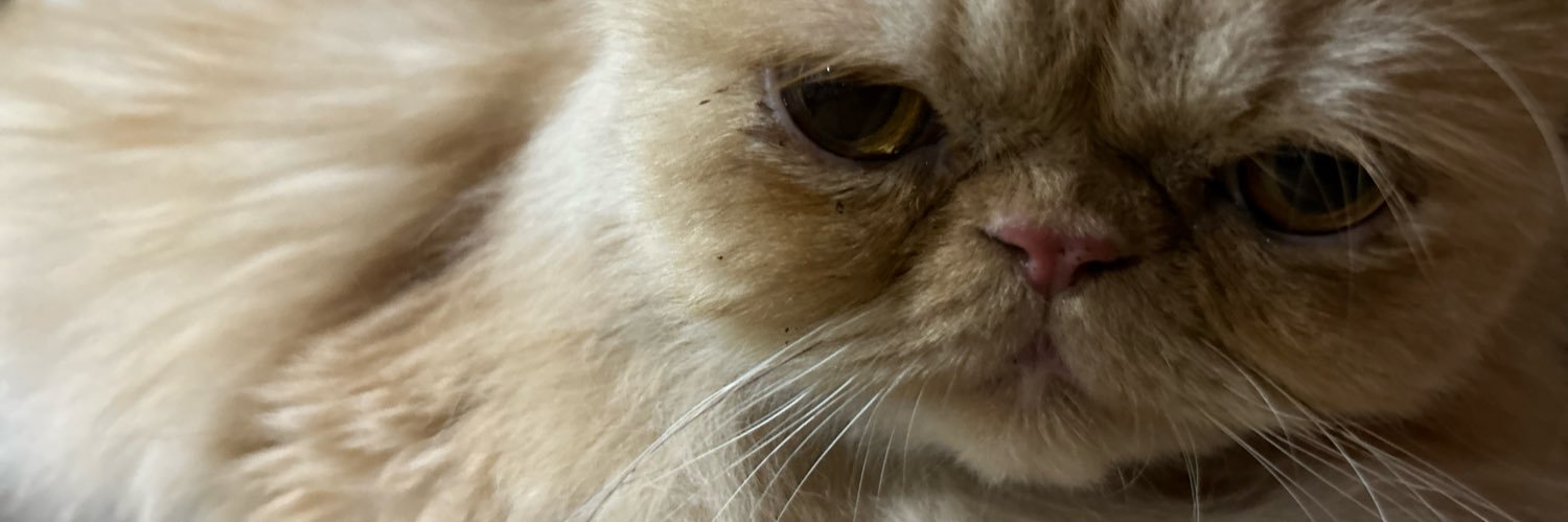 EDECONER's profile banner image