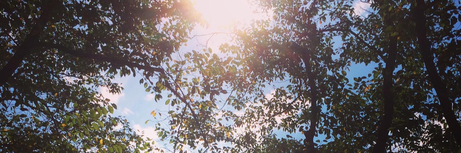 yuto_koto's profile banner image