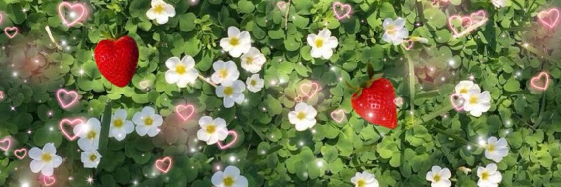 slitksj's profile banner image