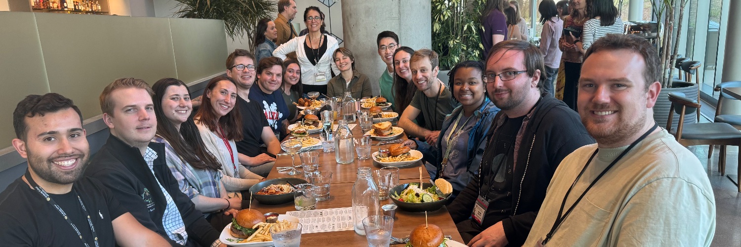 Sana Karam, MD, PhD banner