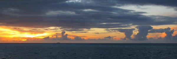 CaterinaMintro1 Profile Banner