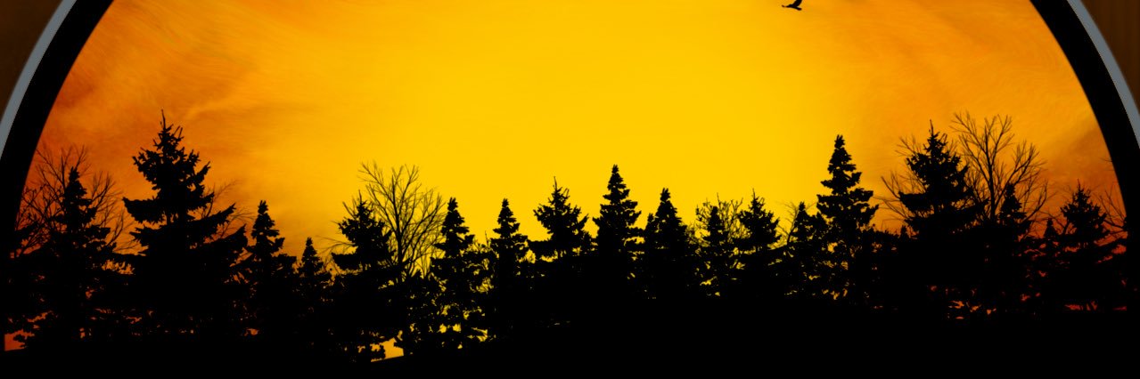 OscarsontTyler's profile banner image