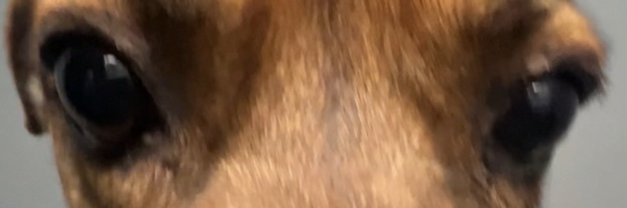 paredtriste's profile banner image