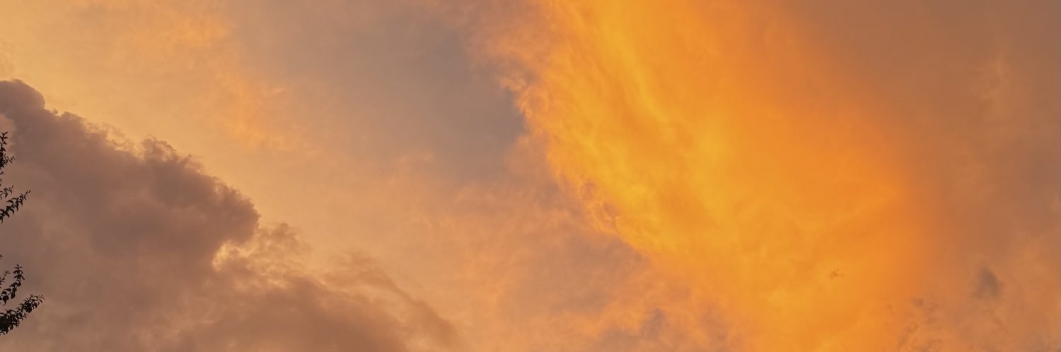 TaffySilvero's profile banner image