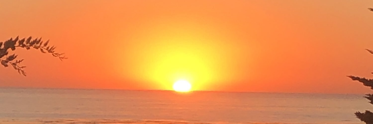 DaveDaCurmudge🥏 banner
