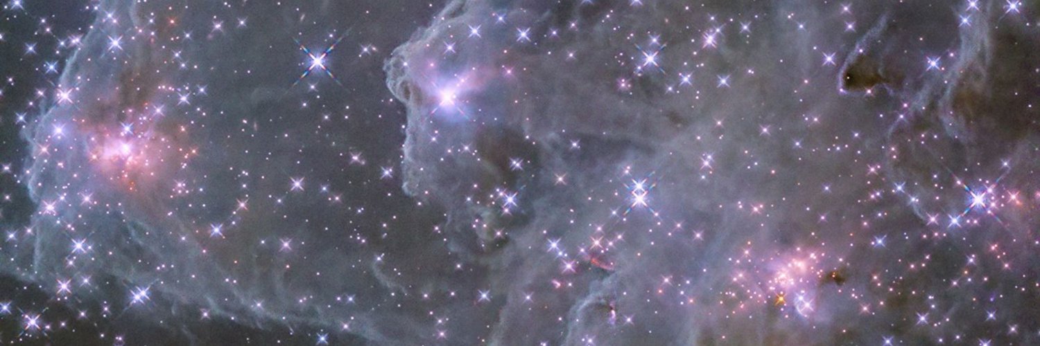 🎭 Crimson Troupe 🎭 Pinkgodia #1 Hater | 🏳️‍⚧️ banner