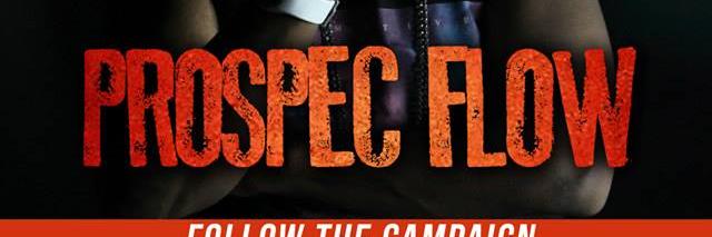 prospecFlow's profile banner image