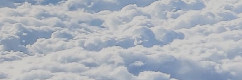 ameliaboyce's profile banner image