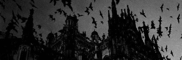 binnieteeth Profile Banner