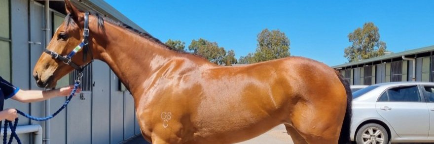 Mac_261's profile banner image